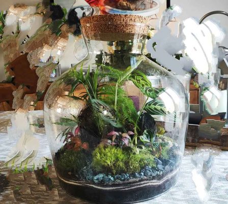 Terrarium Créatrice Compiègne