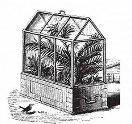 article-blog-histoire-terrarium-1